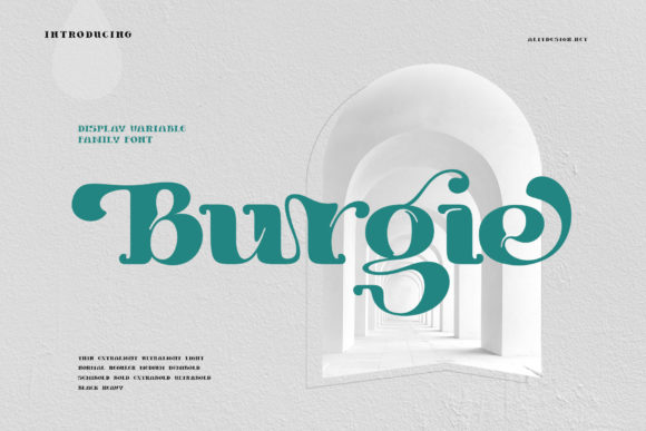 Burgie: The Bold Display Font for Modern Editorial Design